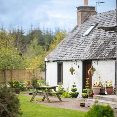 Cosy & Rustic Retreat - Woodland Cottage. Nairn Zewnętrze zdjęcie
