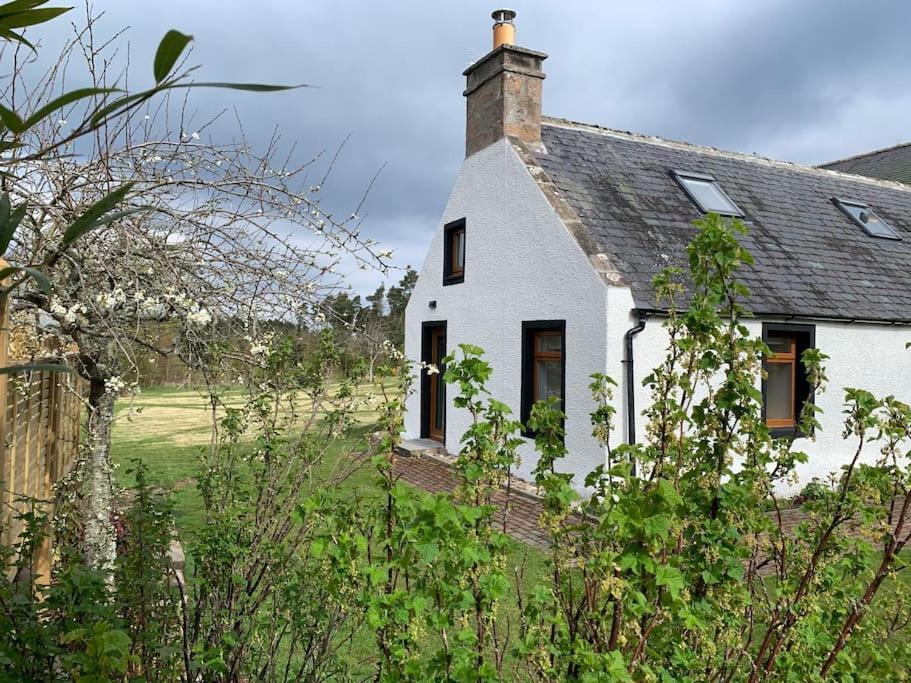 Cosy & Rustic Retreat - Woodland Cottage. Nairn Zewnętrze zdjęcie